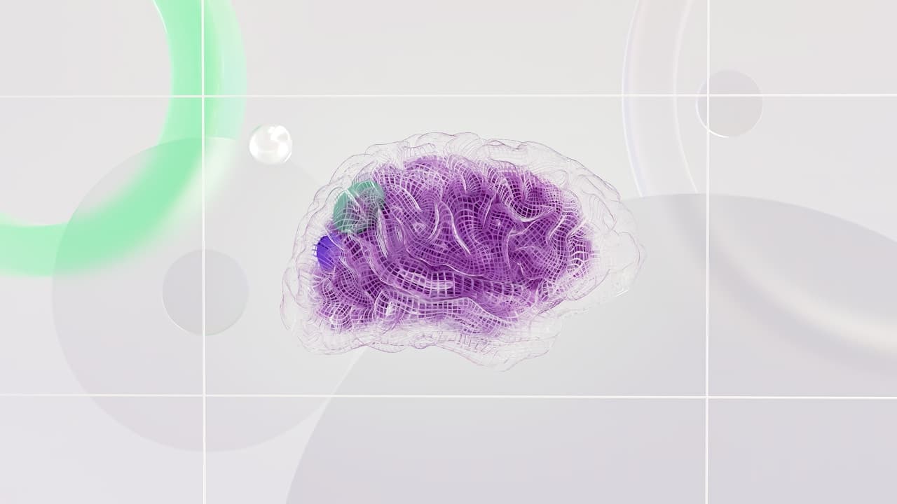 AI Integration & Custom Solutions